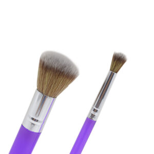 2 Piece Dusting Brush Set